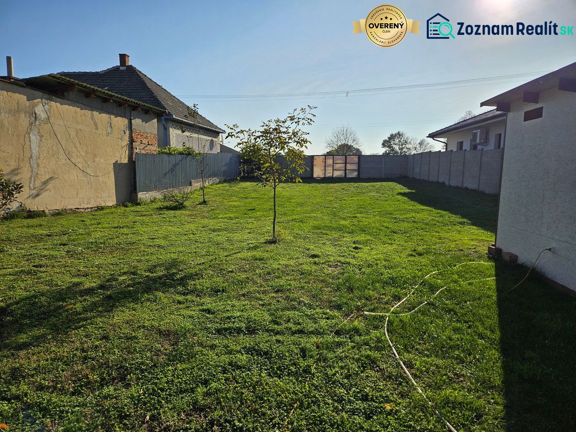 Fotografia 7