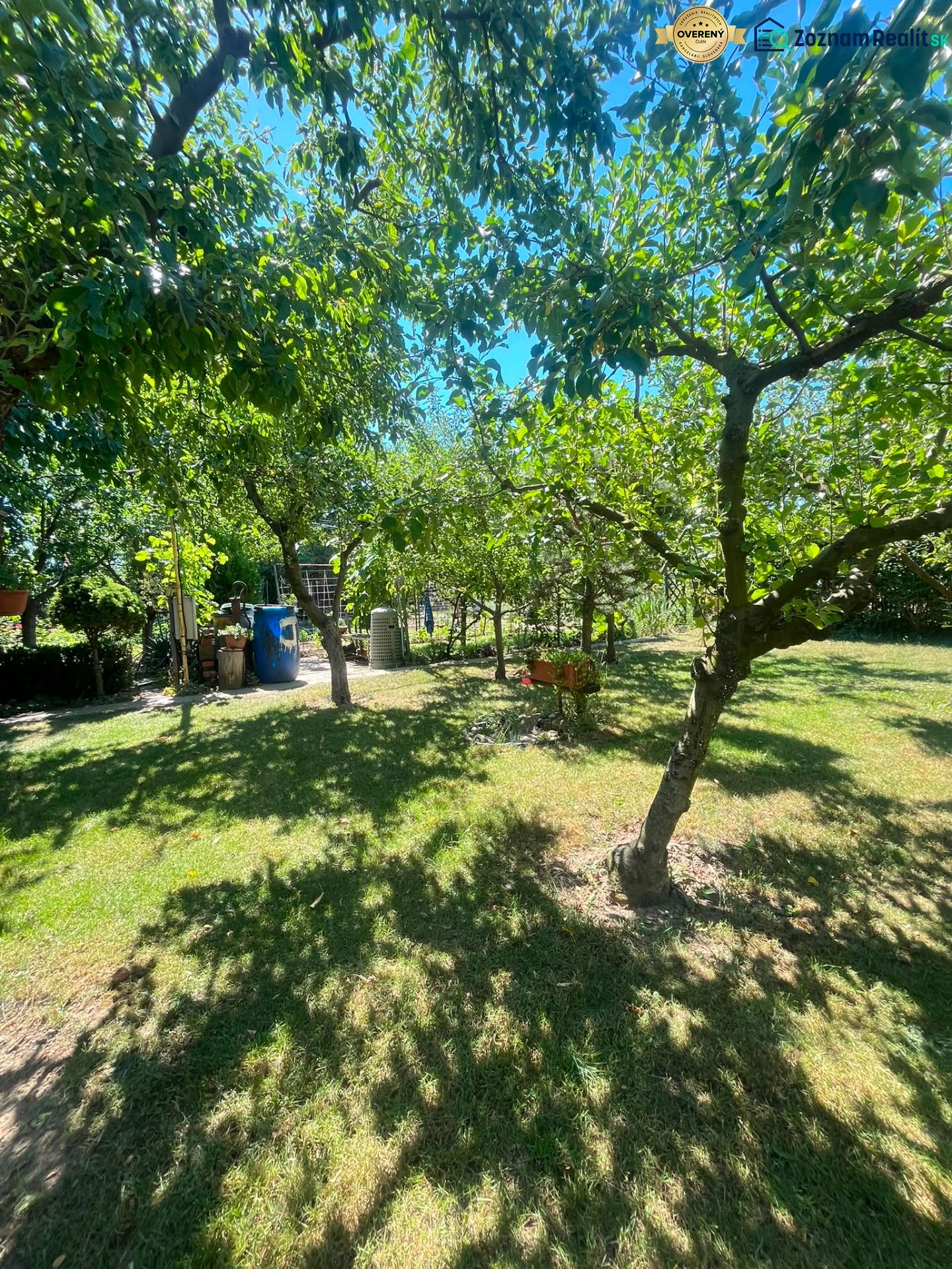 Fotografia 3