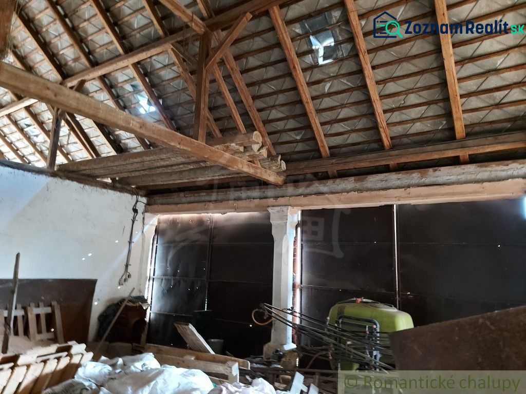 Fotografia 8