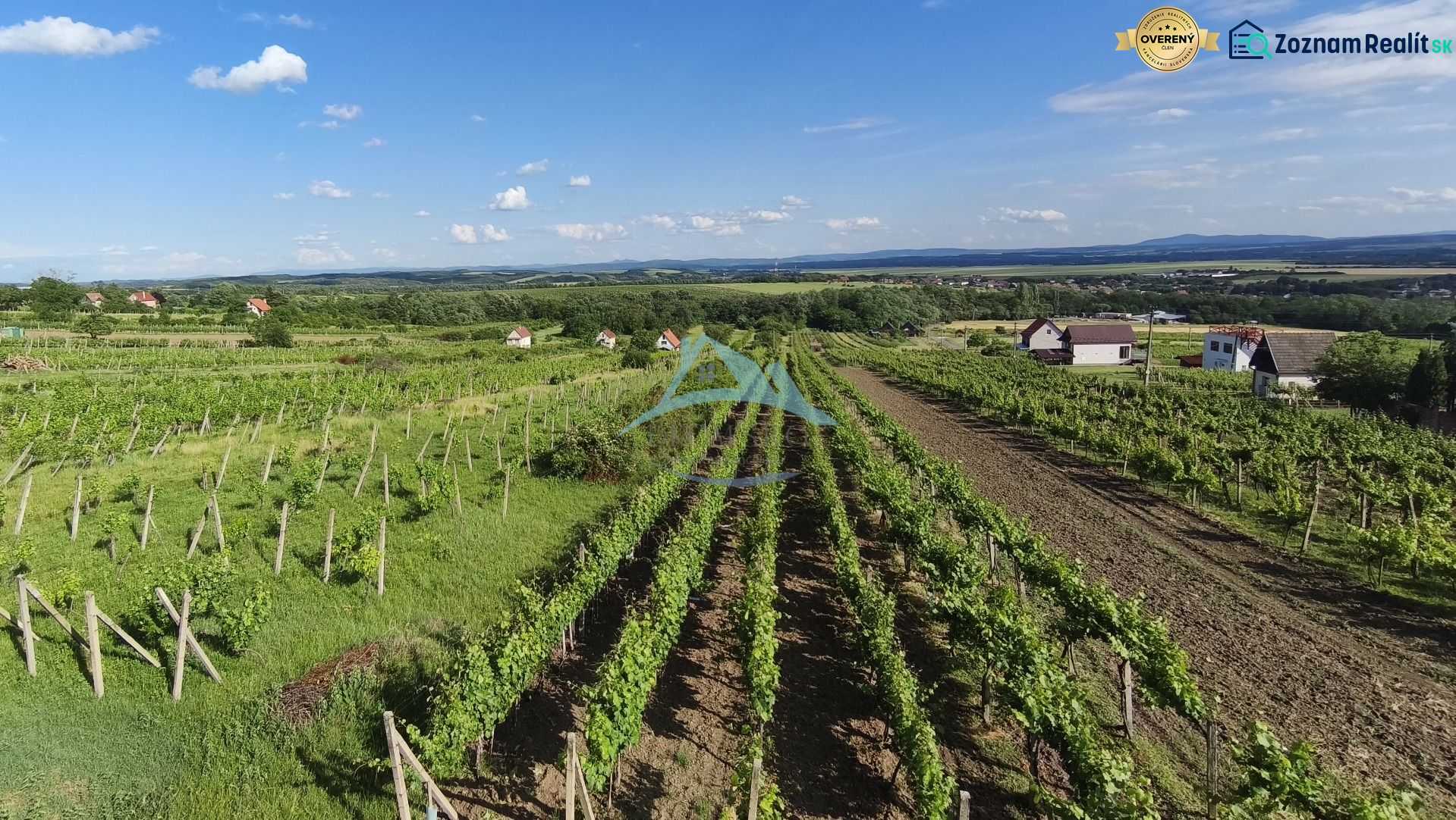3-podlažný vínny domček s vinicou v obci Vinica, okr. V. Krtíš. - Vinice v okolí mesta Vinica s domami na pozadí pod modrou oblohou.