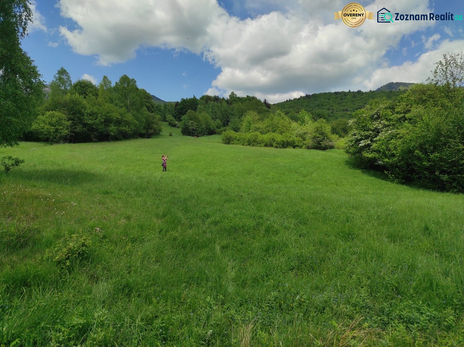 ŠÚTOVO,  pozemok 6047m2,okr. MARTIN - Rozľahlé zelené pozemky obklopené prírodou, ideálne pre bývanie a relaxáciu.