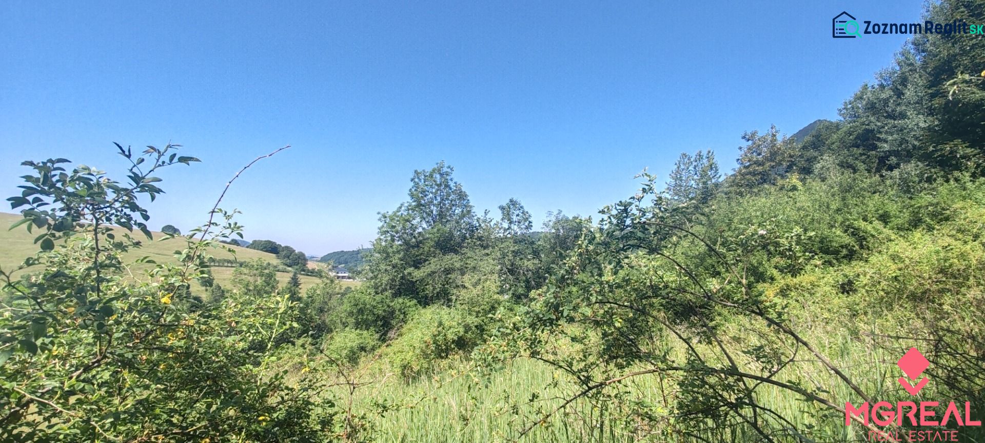 Slnečný pozemok 7 928 m² v Hornom Vadičove s výnimočným potenciálom - Svieža zeleň poľnohospodárskych a lesných pozemkov v Hornom Vadičove pod modrou oblohou.