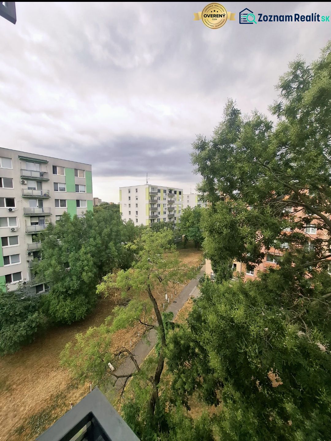 Fotografia 7