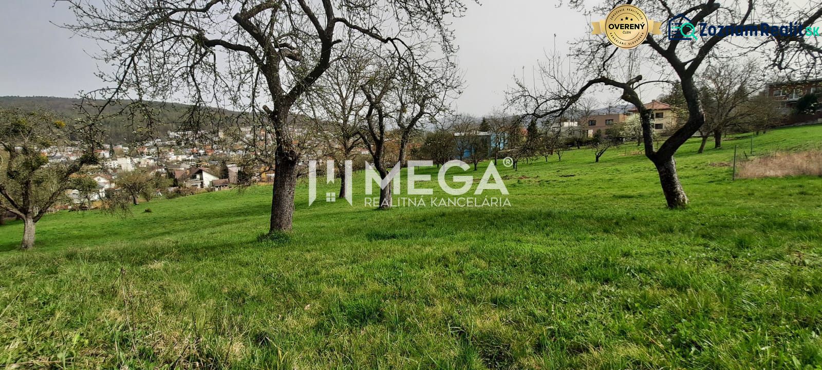 NA PREDAJ dom s veľkým pozemkom v meste Humenné - Pohľad na zelenú lúku so stromami a výhľadom na Humenné z Brestovskej ulice.