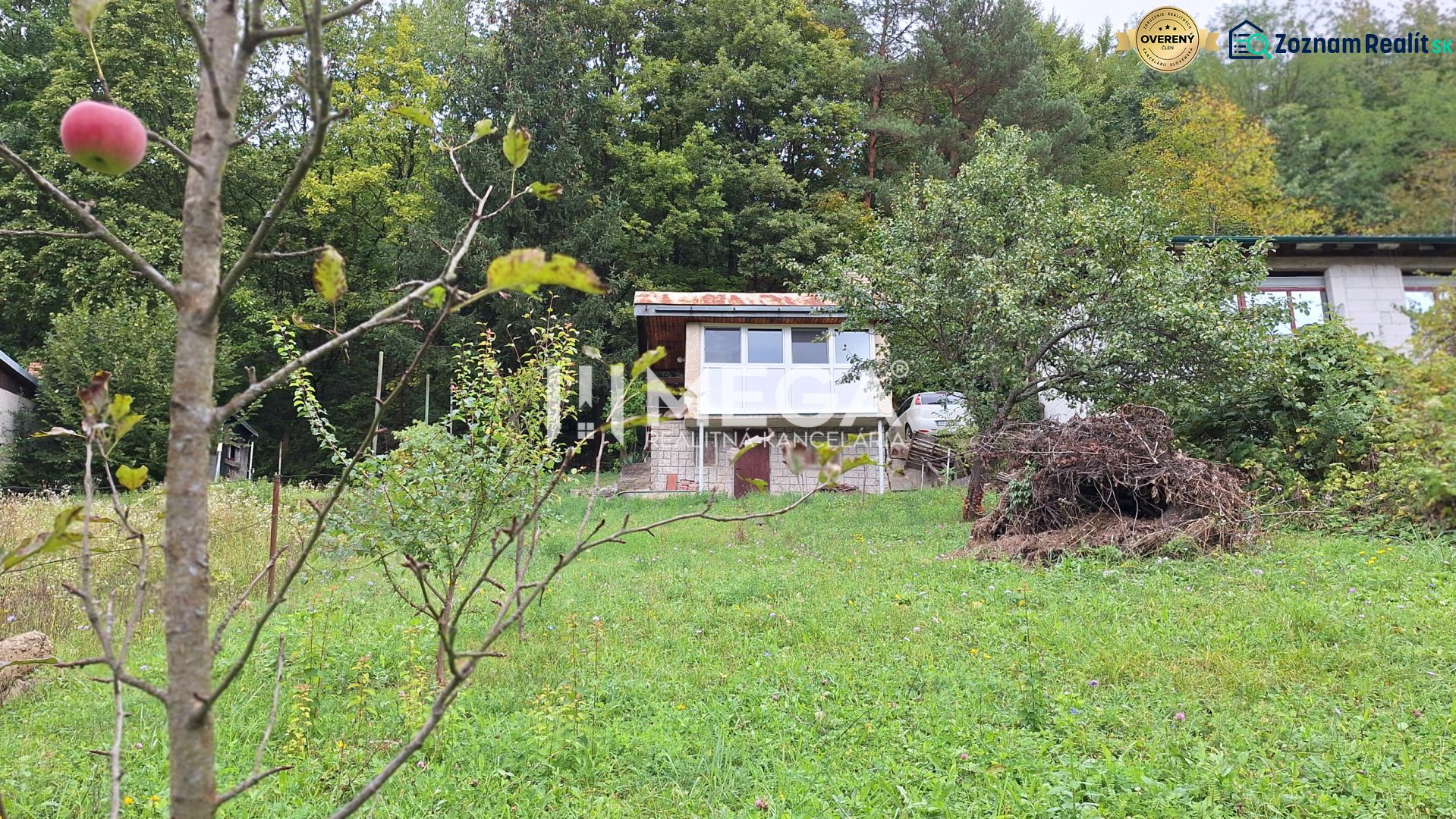 EXKLUZÍVNE NA PREDAJ záhradná chatka v ZO Drienovec - Chata v záhradkárskej oblasti Drienovec pri Humennom s ovocnými stromami v zelenom prostredí.