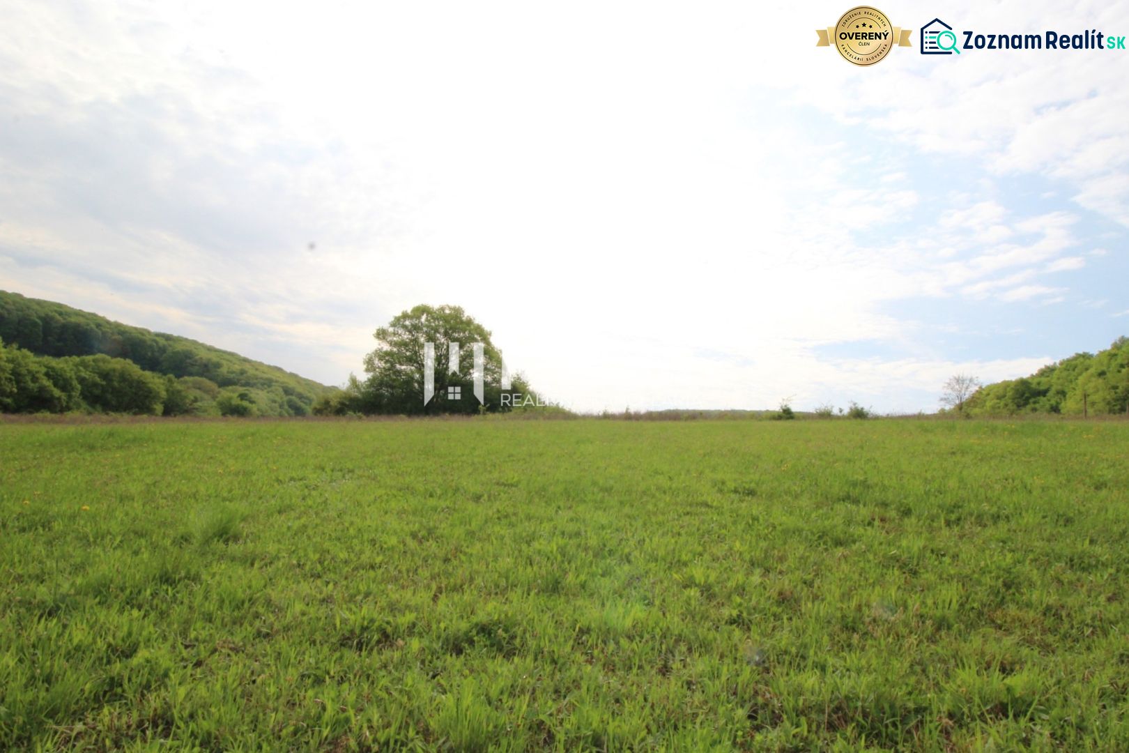 NA PREDAJ POZEMOK V LONE PRÍRODY - VYŠNÝ KAZIMÍR 1196 m² - Zeleň lúky a stromy v pozadí, Vyšný Kazimír, pozemky - bývanie.