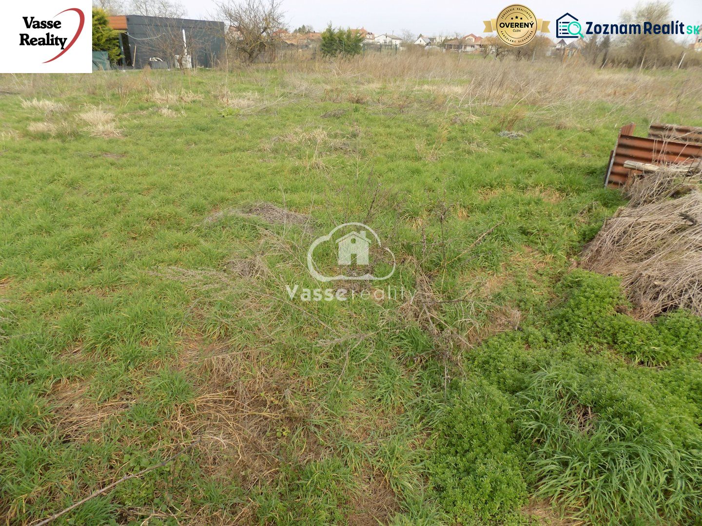 Fotografia 5