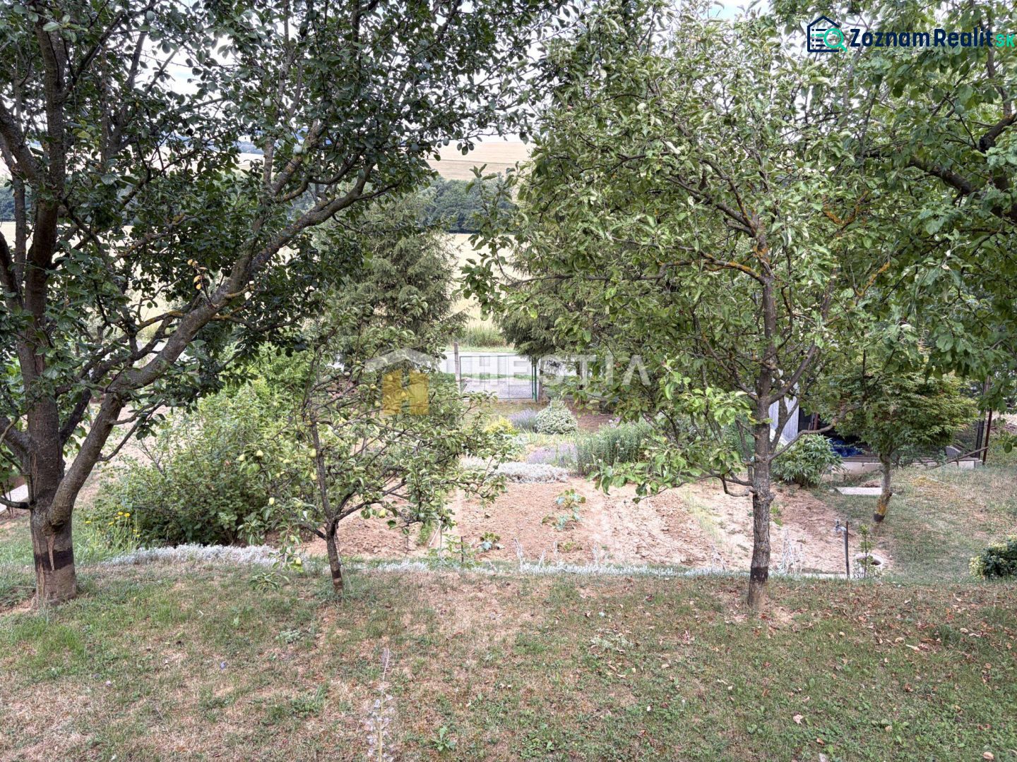 Fotografia 9
