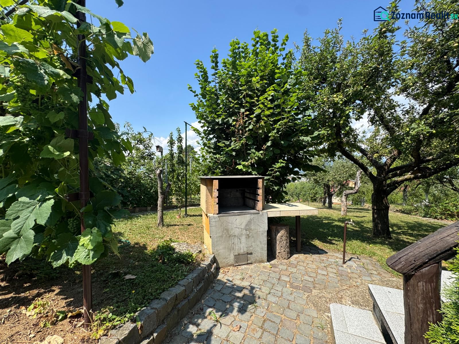 Fotografia 5