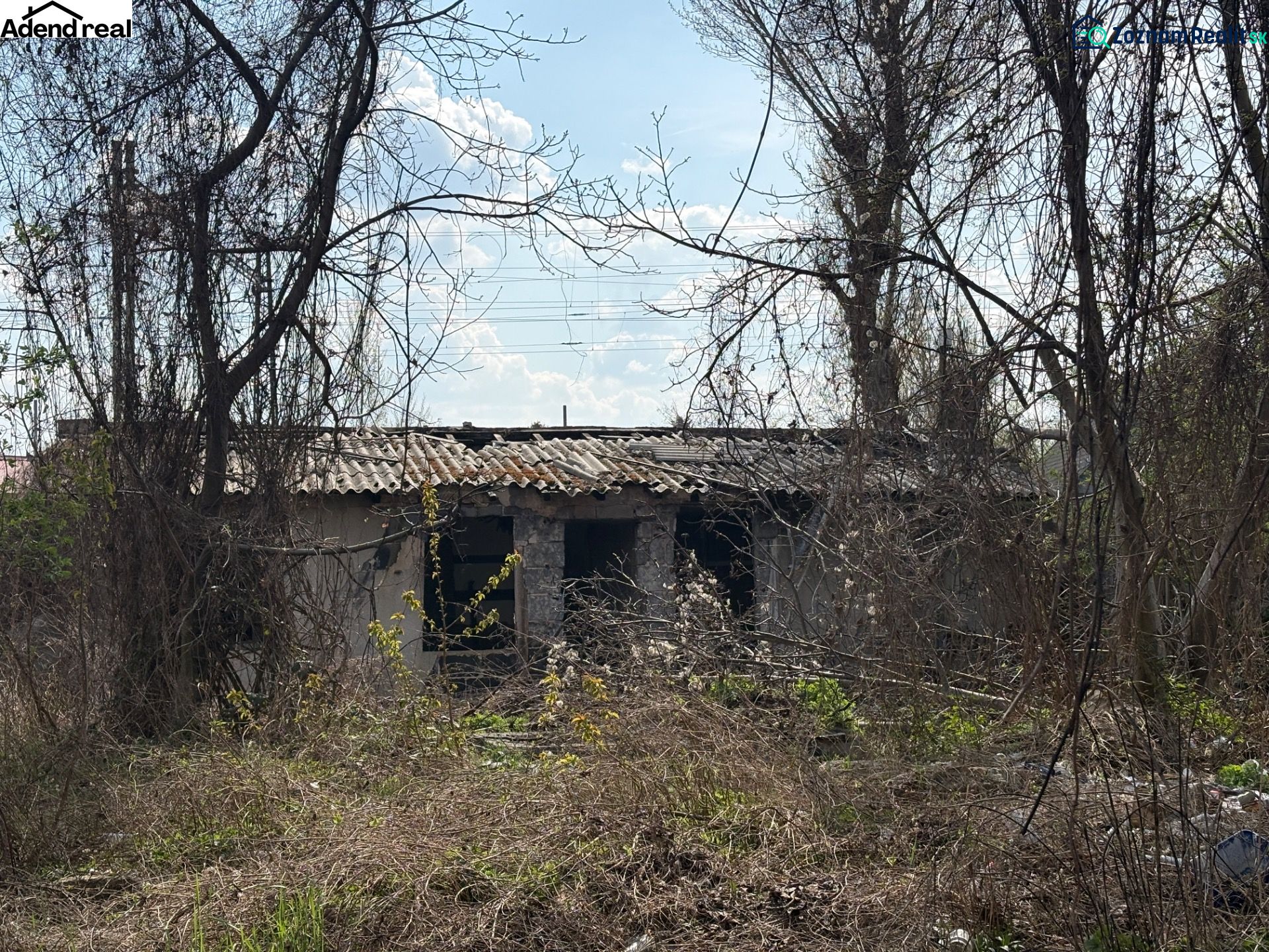 Fotografia 8