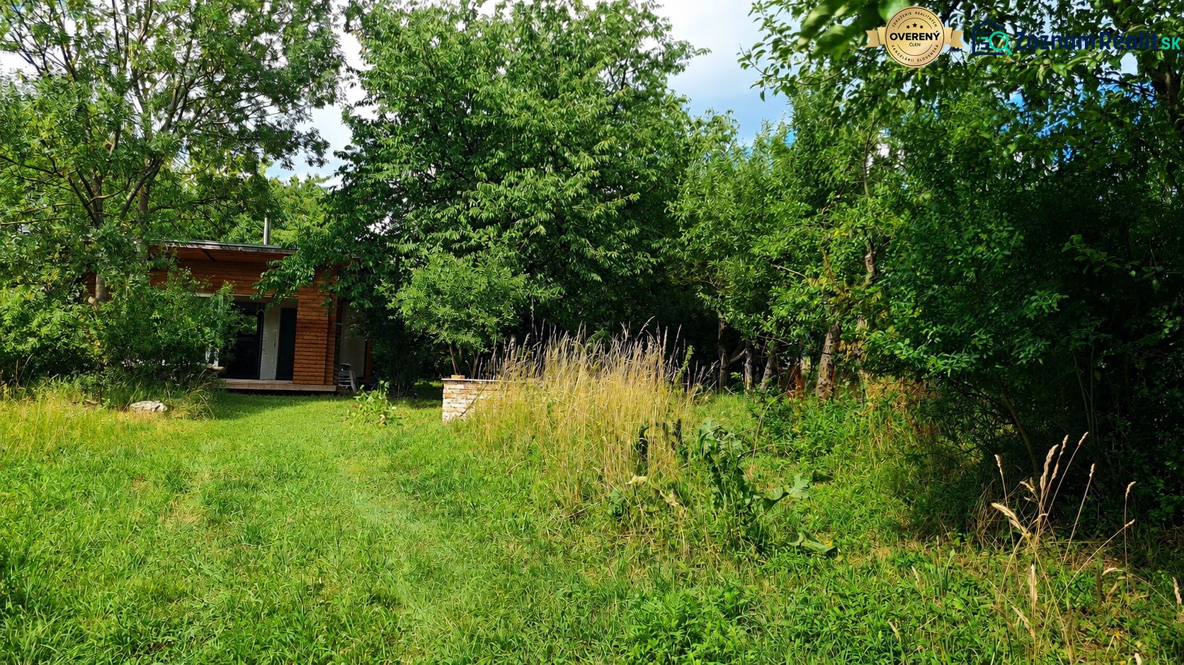 Fotografia 7