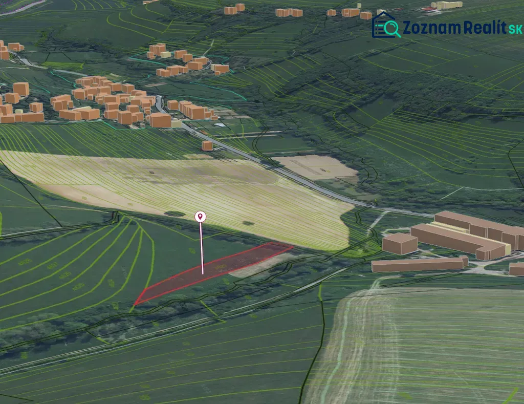 Fotografia 10