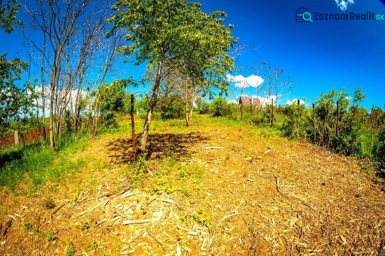 Fotografia 19