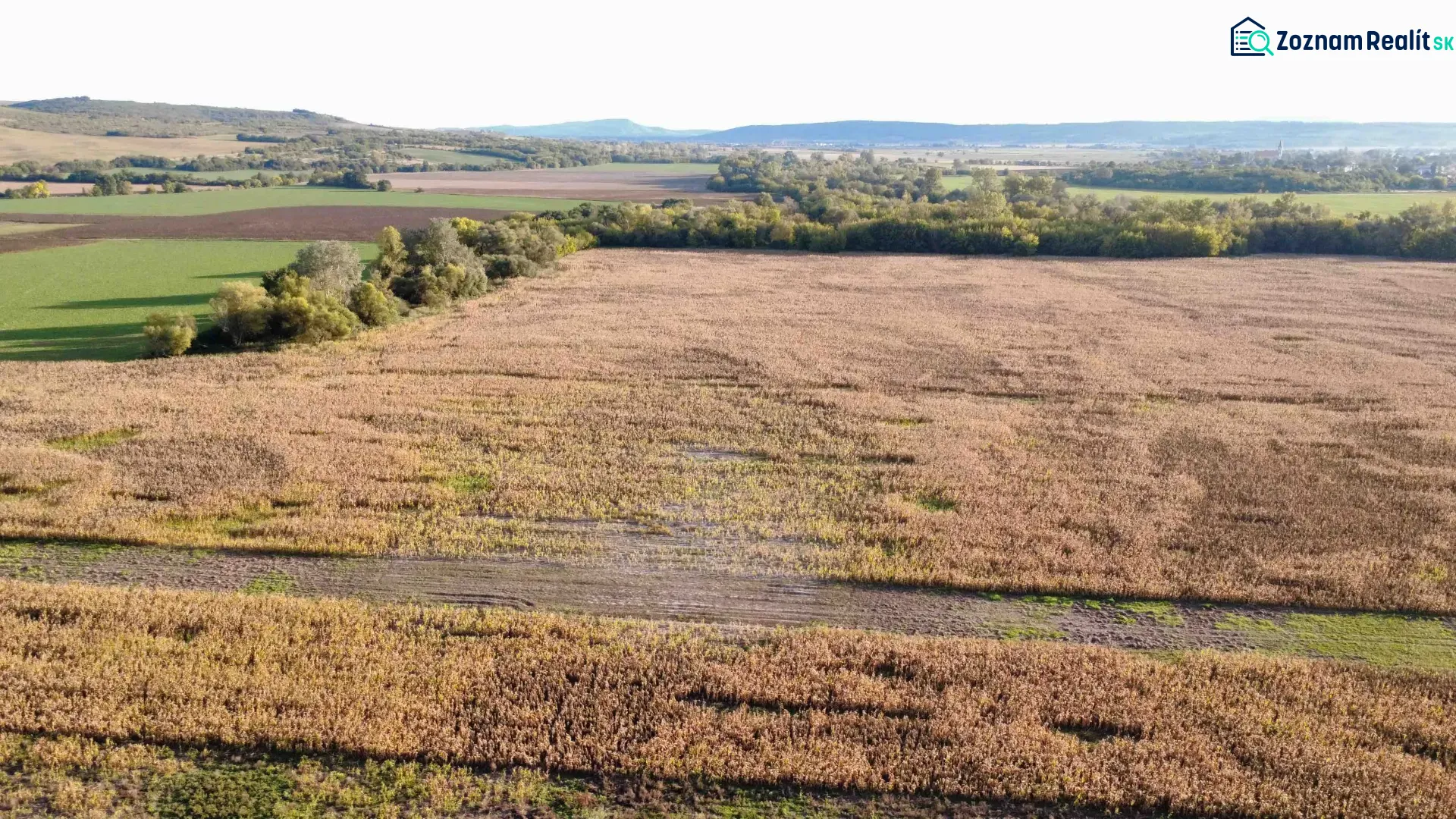 Fotografia 10