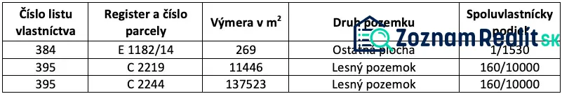 Fotografia 5