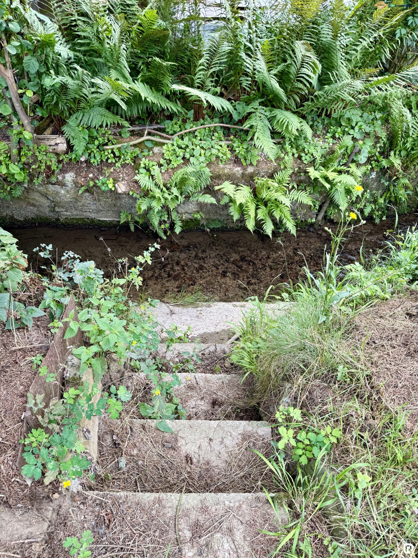 Fotografia 10