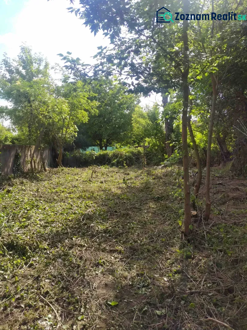 Fotografia 10