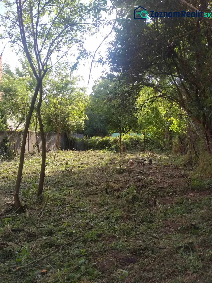 Fotografia 11