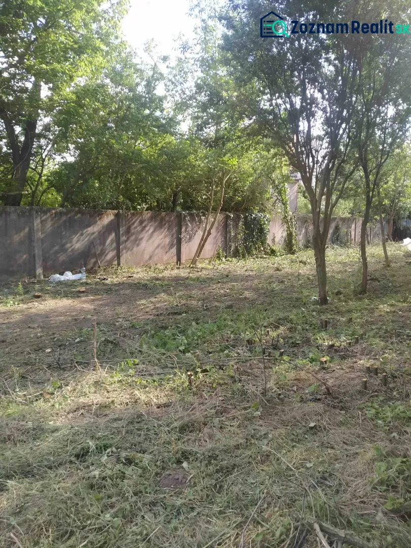Fotografia 13