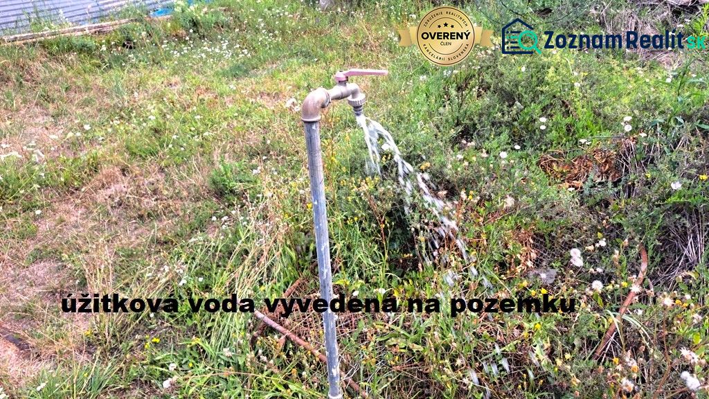 Fotografia 13