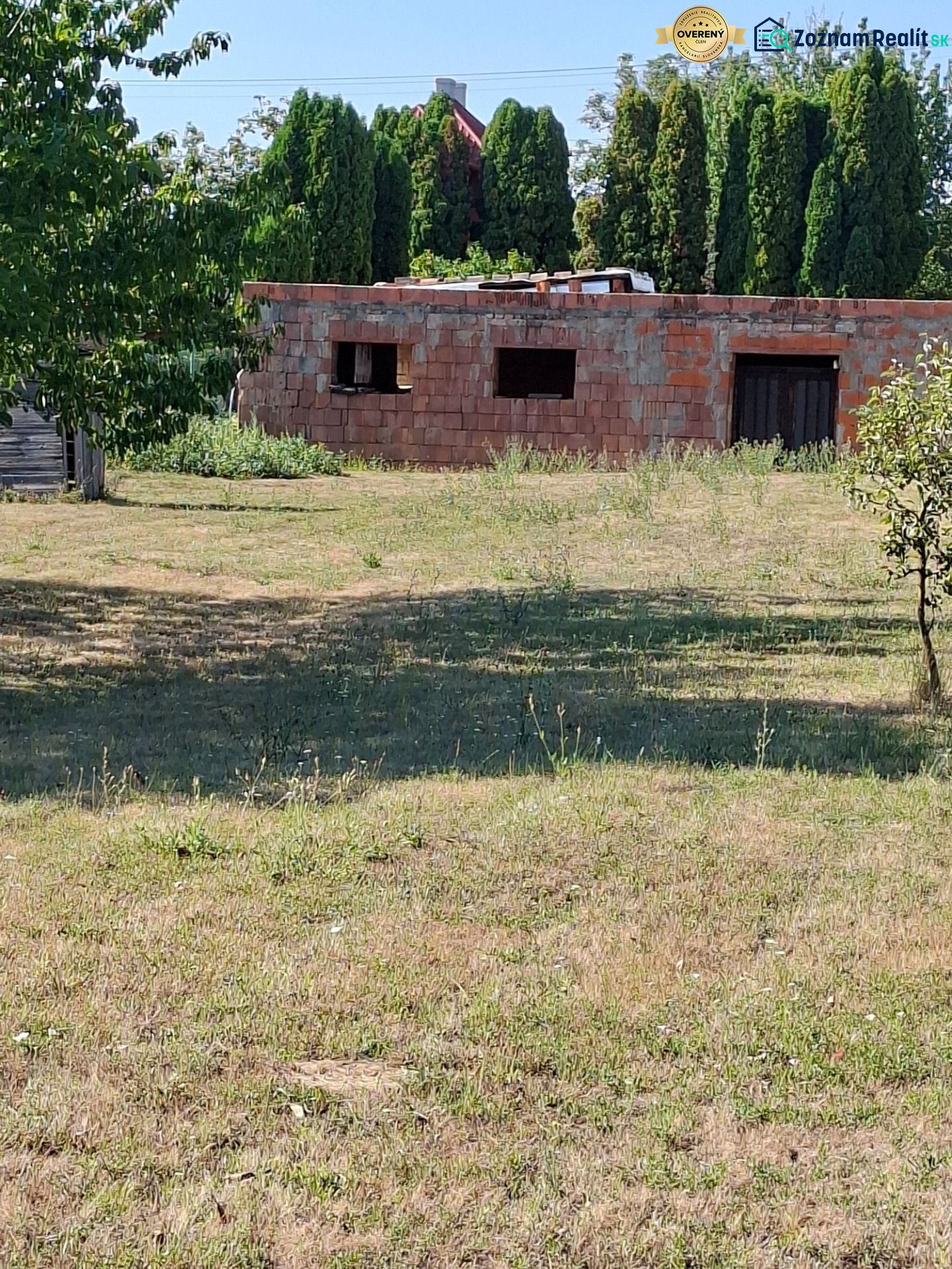 Fotografia 3