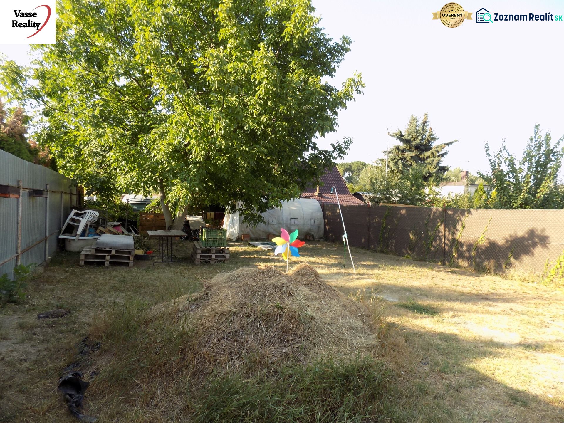 Fotografia 7