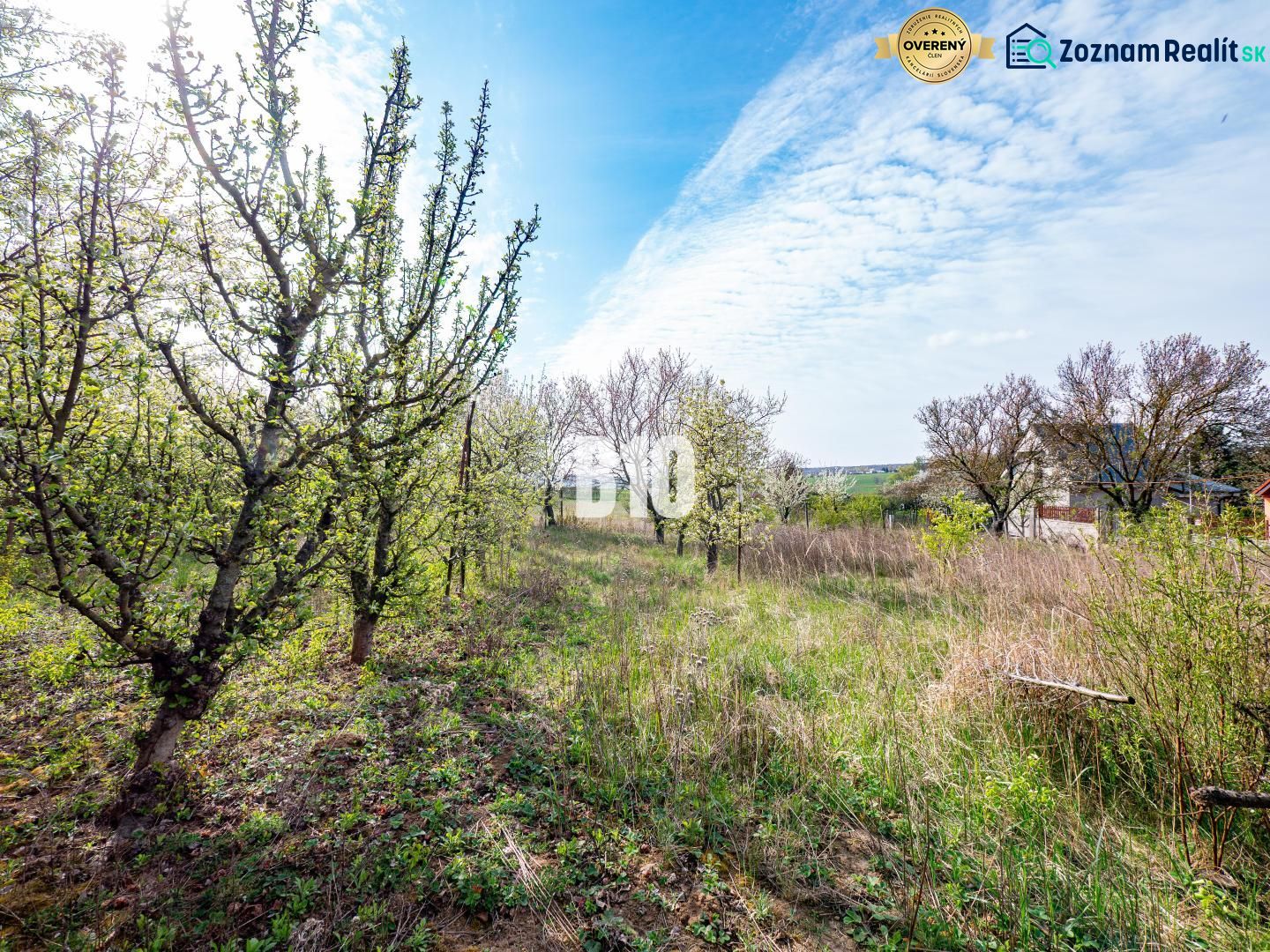 Záhrada/podnikanie?  2.000 m2 pozemok - 3 min. od mesta Nitra - Pozemky - bývanie v Nitre s rozkvitnutými stromami pod jarnou oblohou.