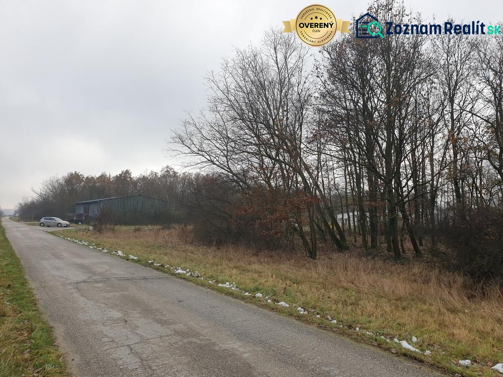 Hľadáte les a lúku v okrese Pezinok? Budmerice - Vidiecka cesta vedľa poľnohospodárske a lesné pozemky s automobilom a stromami.