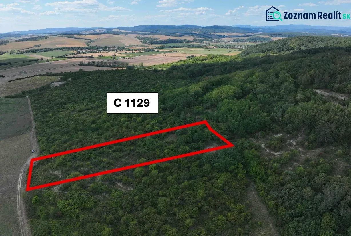 Behynce – 5.439 m2 LESNÝ pozemok v podiele 1/1 – Predaj - Poľnohospodárske a lesné pozemky v Tornali s vyznačeným územím a malebným okolím.