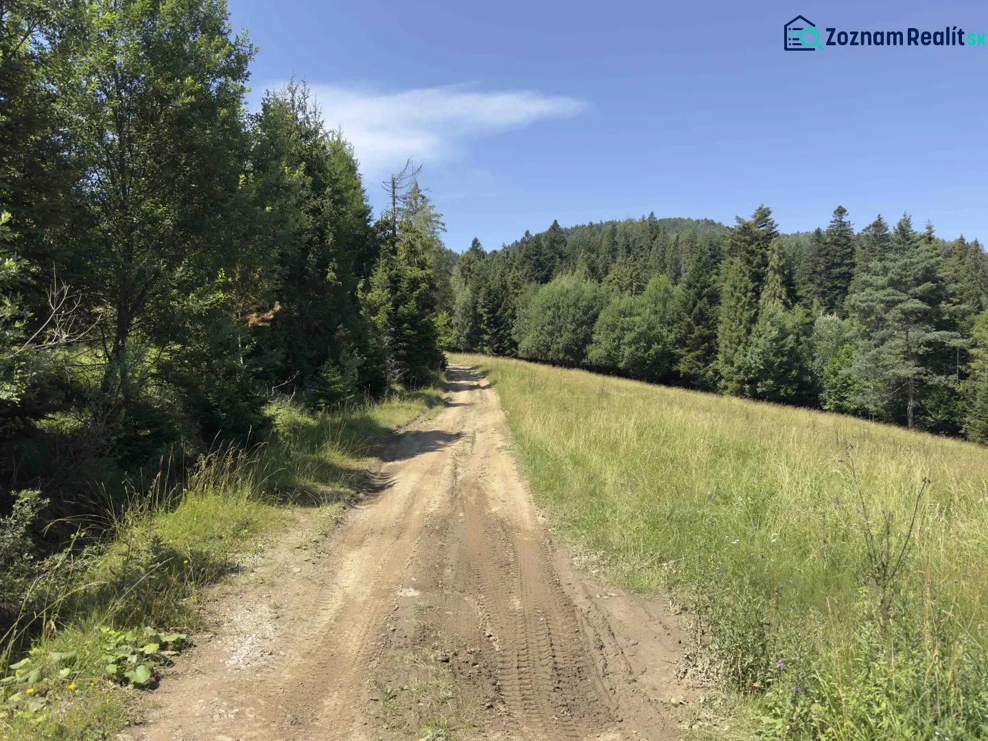 Vyšné Ružbachy – 1.016 m2 POZEMOK na CHATU  pri lese  - Lesná cesta obklopená stromami a trávou v región Stará Ľubovňa, Zvláštne nehnuteľnosti.
