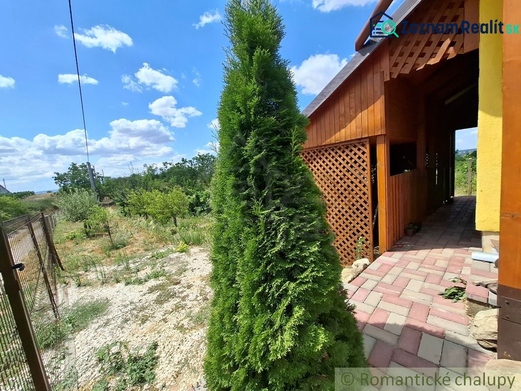 Fotografia 17