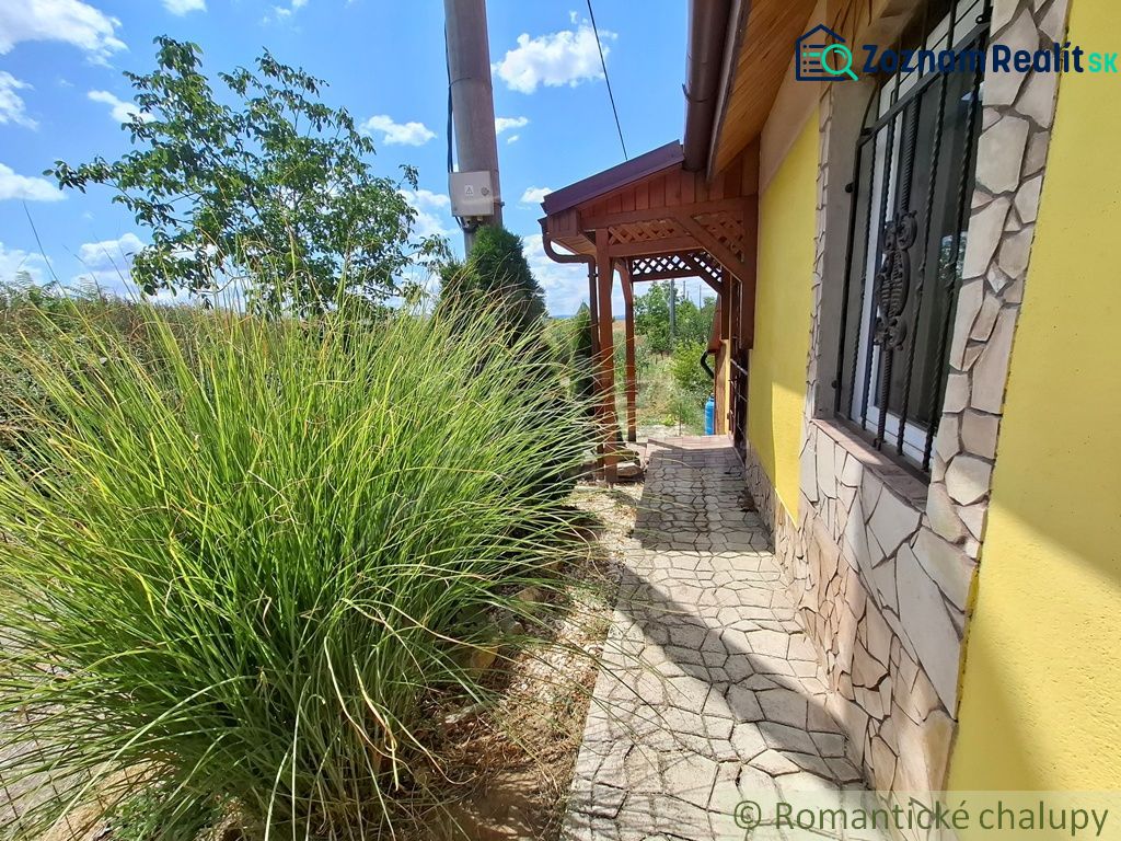 Fotografia 5