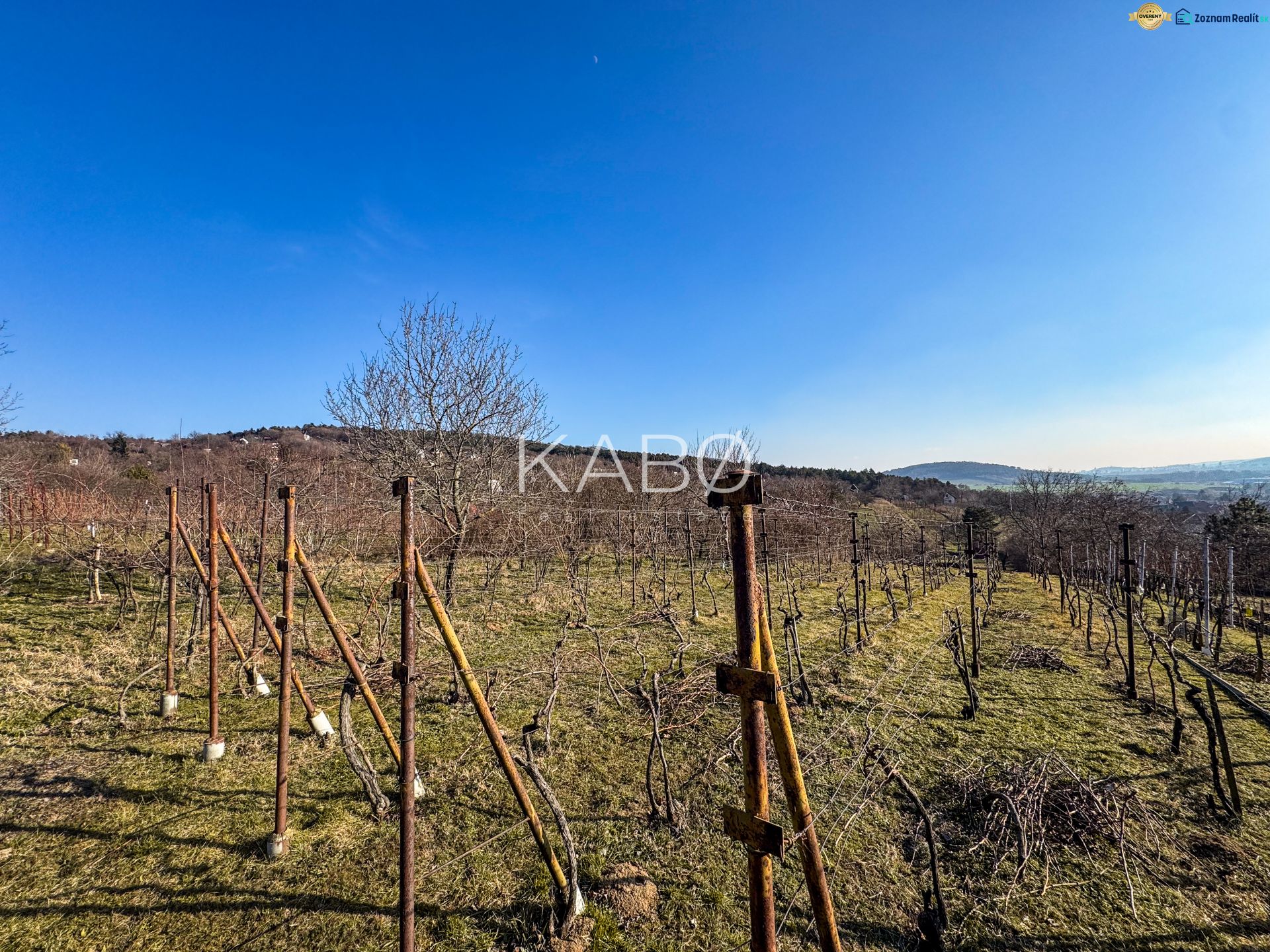 Krásna vinica pri Nitre - 895 m2  - Vinice na Ambrovej ulici v Nitre s výhľadom na okolitú krajinu.