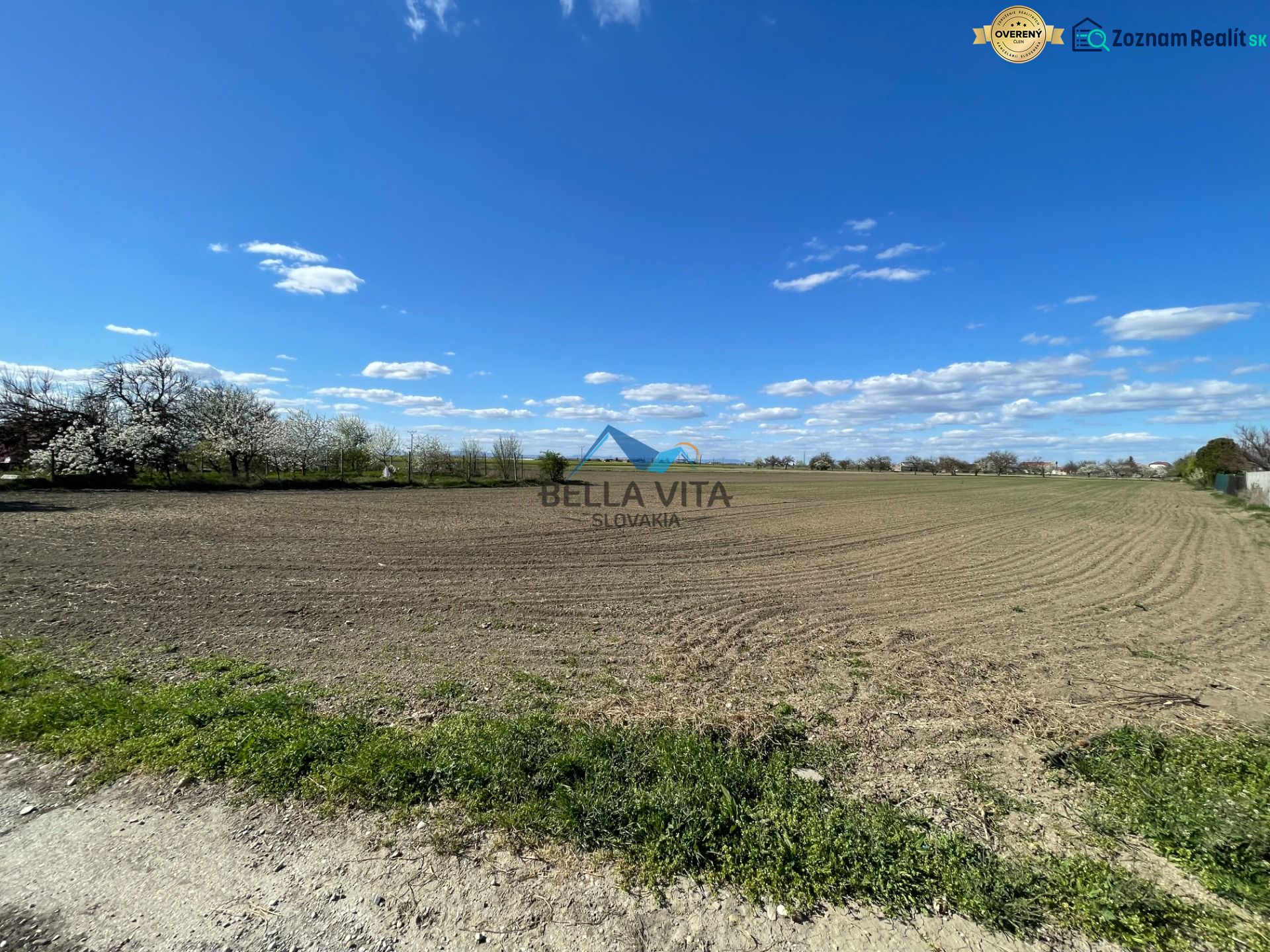 Atraktívny stavebný pozemok v Košútoch, 2470 m2, výhodná cena - Rozľahlá parcela na výstavbu v Košútoch, Košúty, vhodná pre pozemky - bývanie.