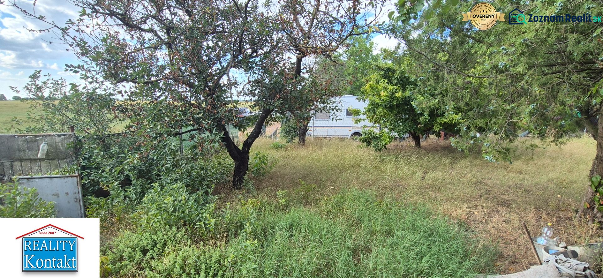 Fotografia 8