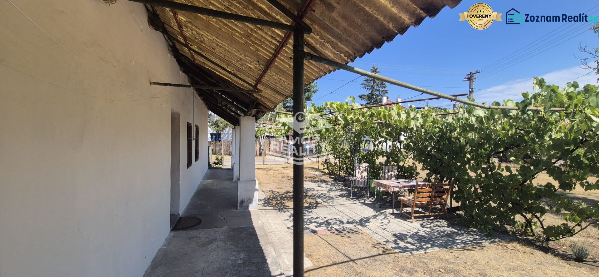 Fotografia 6