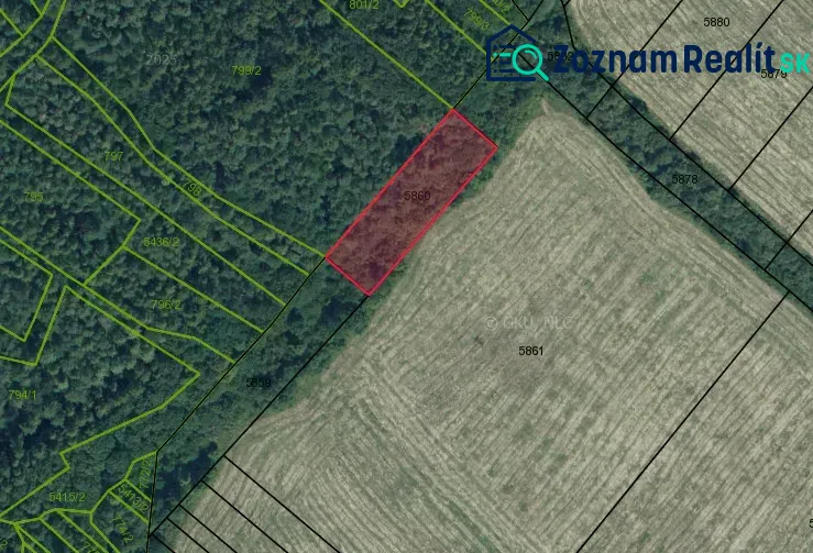 Fotografia 11