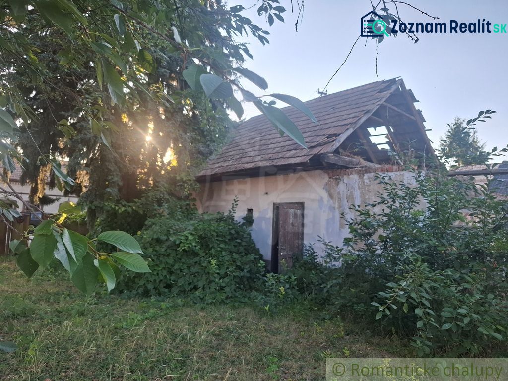 Fotografia 3
