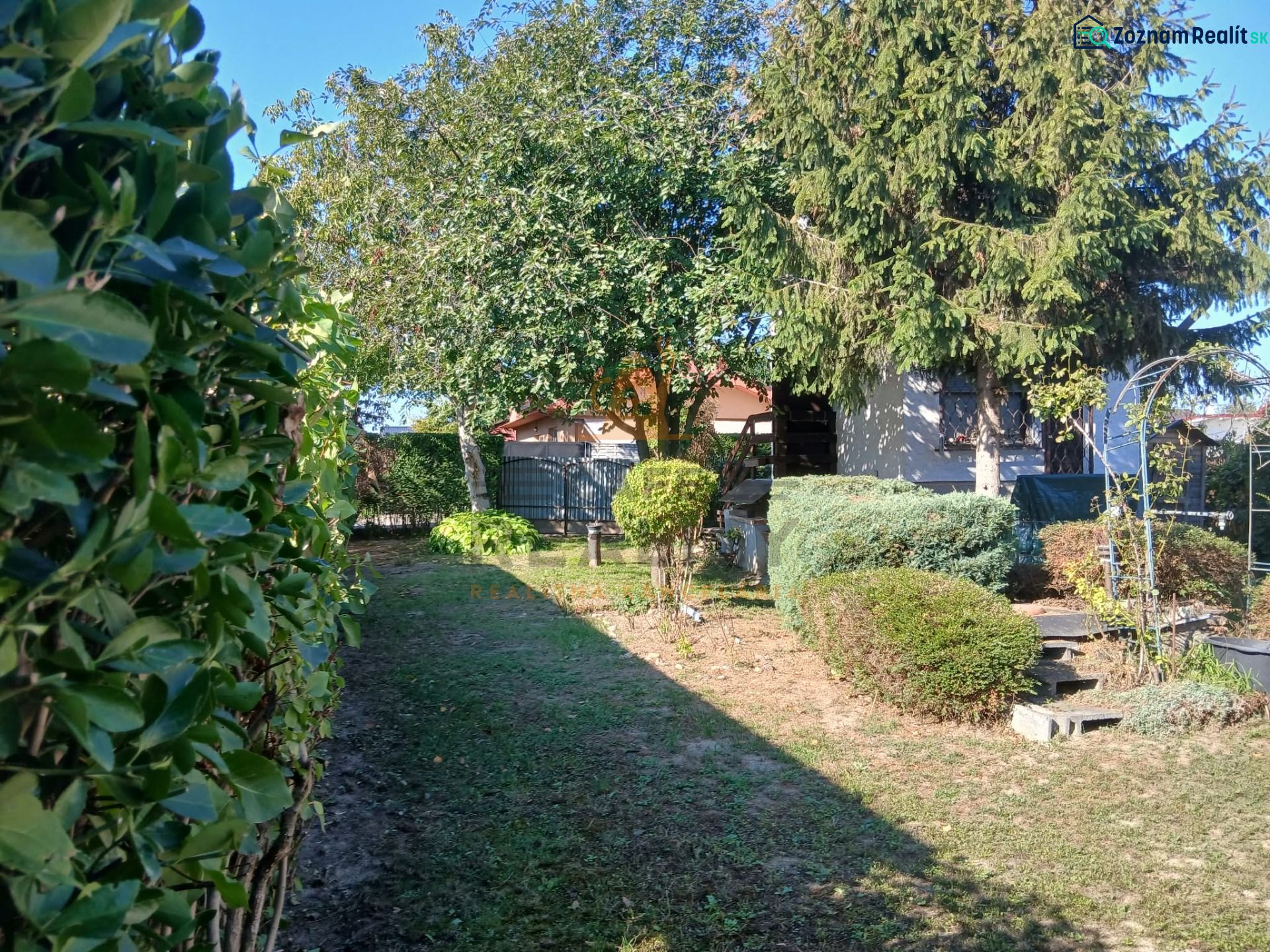 Fotografia 3