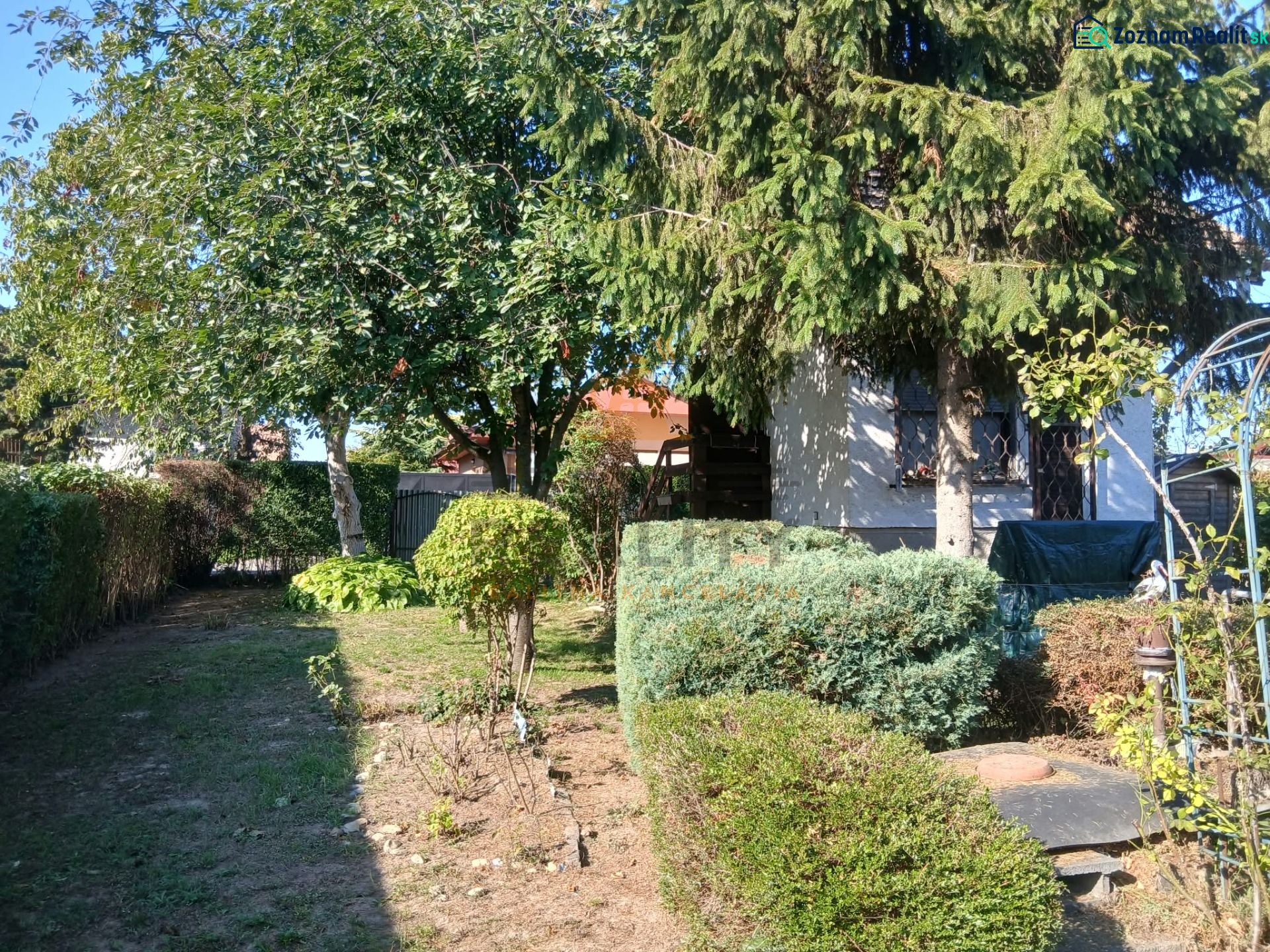 Fotografia 4