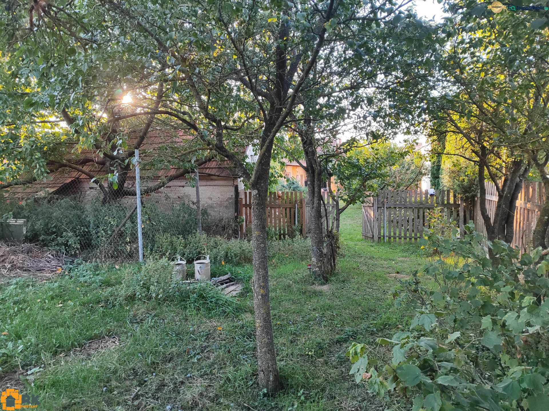 Fotografia 5