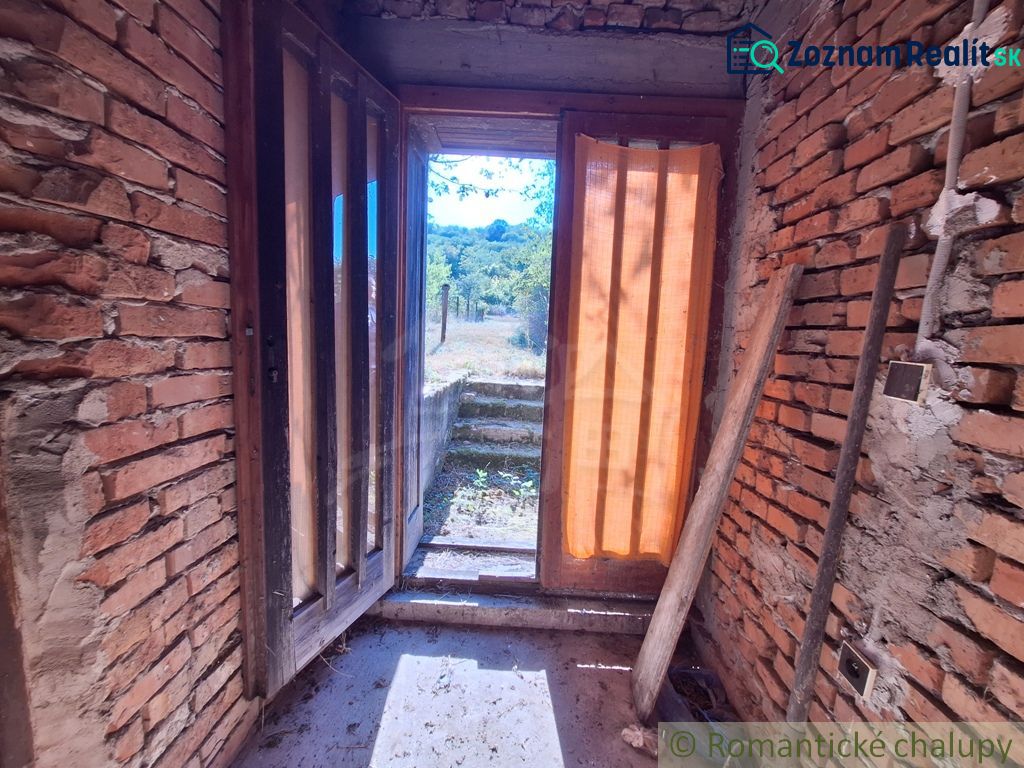 Fotografia 7