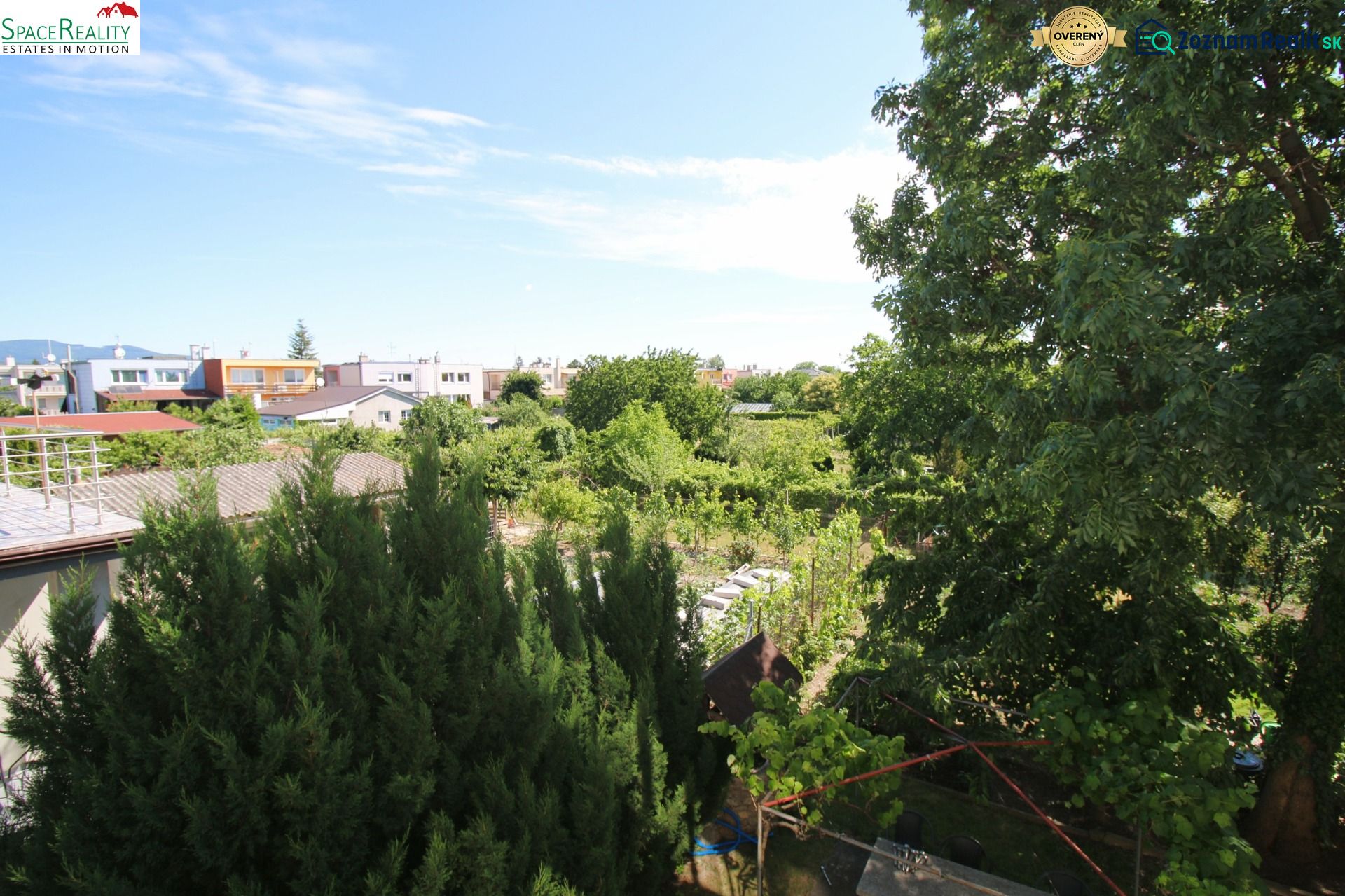 Fotografia 12