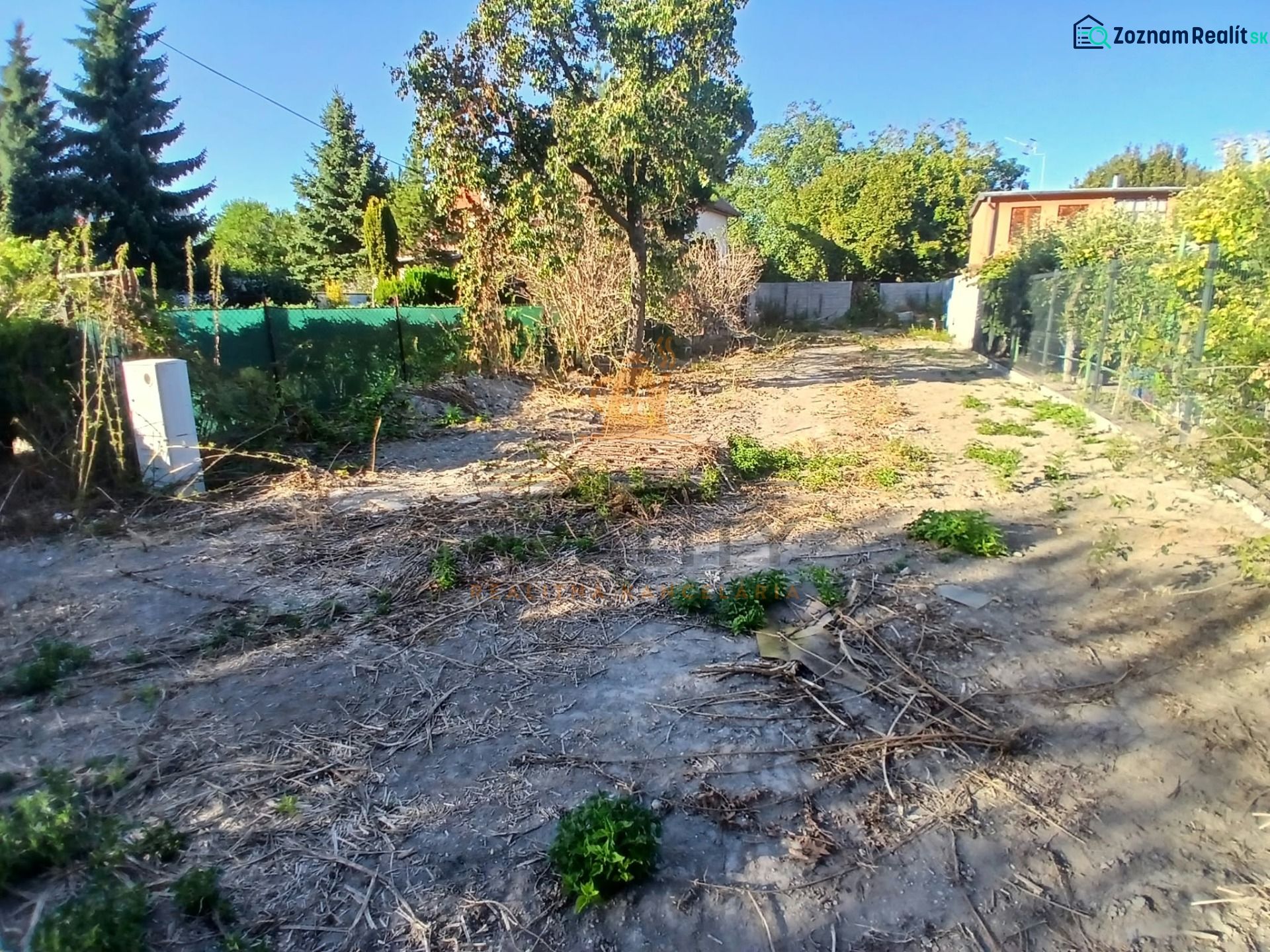 Fotografia 3