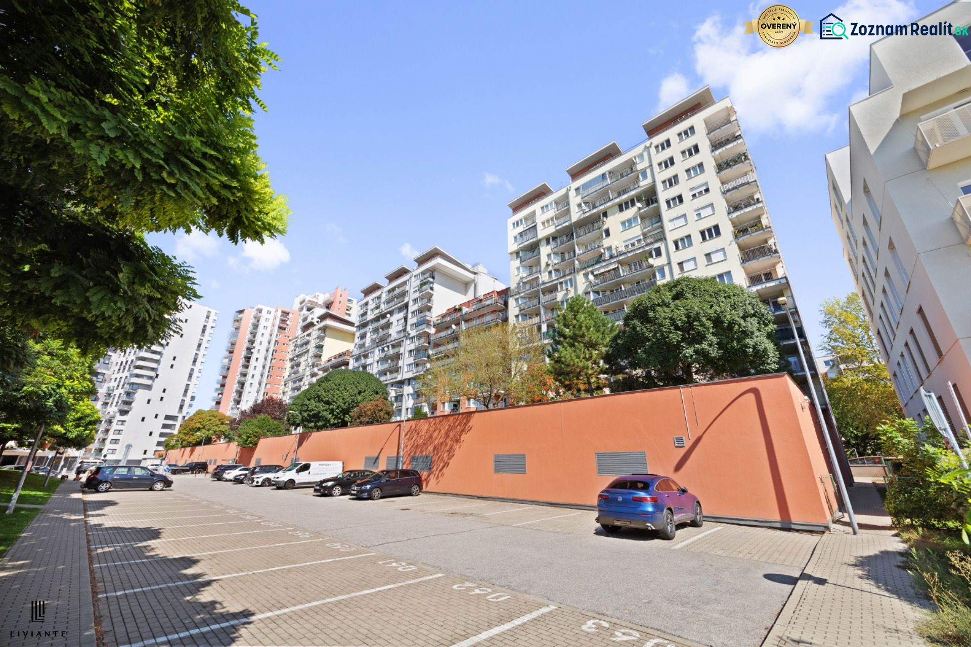 Fotografia 17