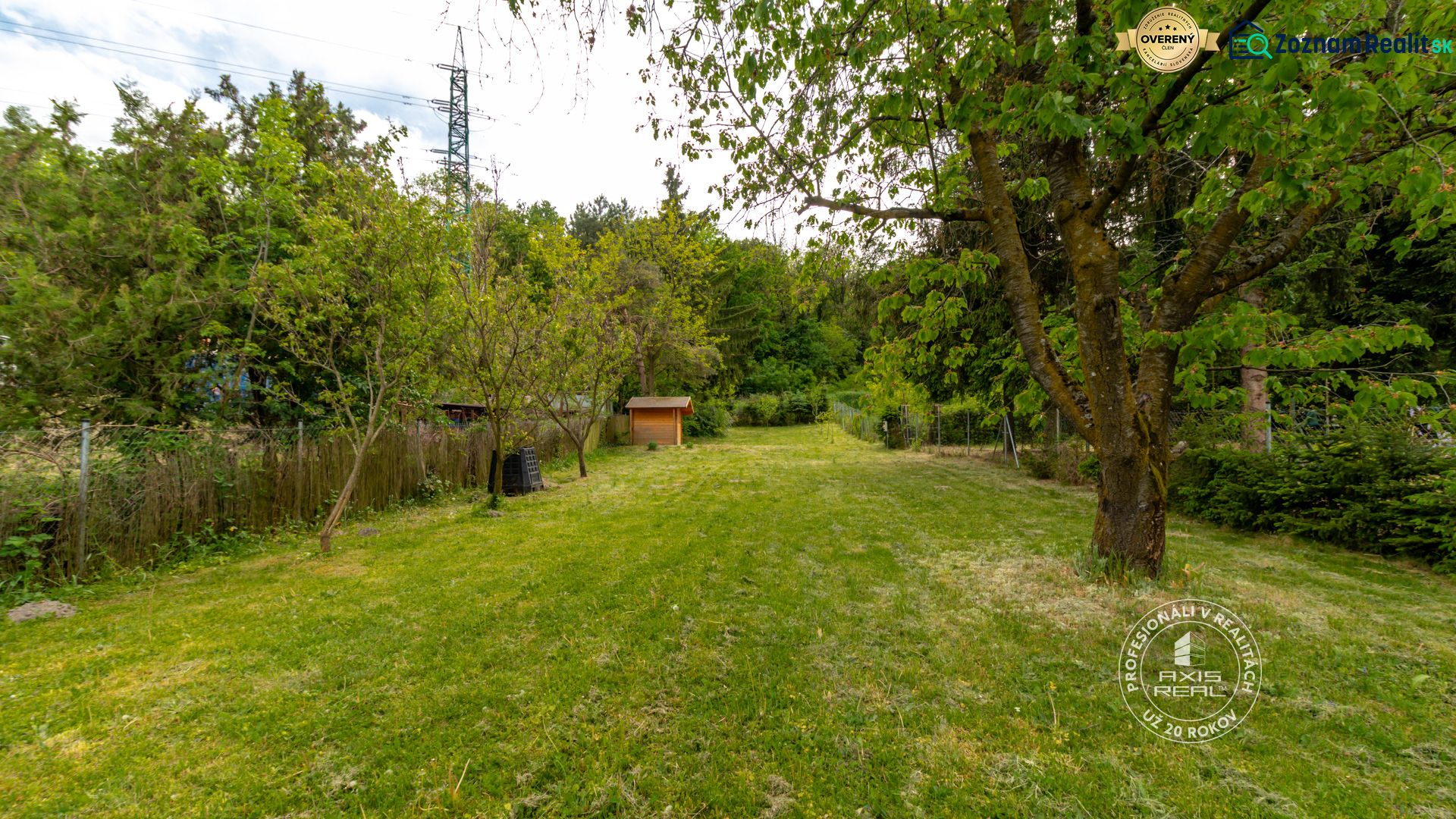 Fotografia 3