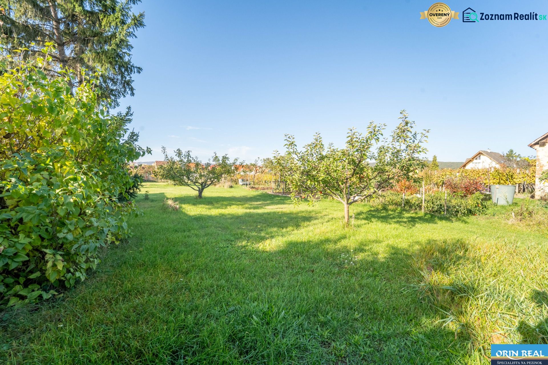 Veľký STAVEBNÝ POZEMOK v centre PEZINKA so zrekonštruovaným domom - Záhradný pozemok rodinného domu na Kupeckého ulici v Pezinku, s ovocnými stromami a trávnikom.
