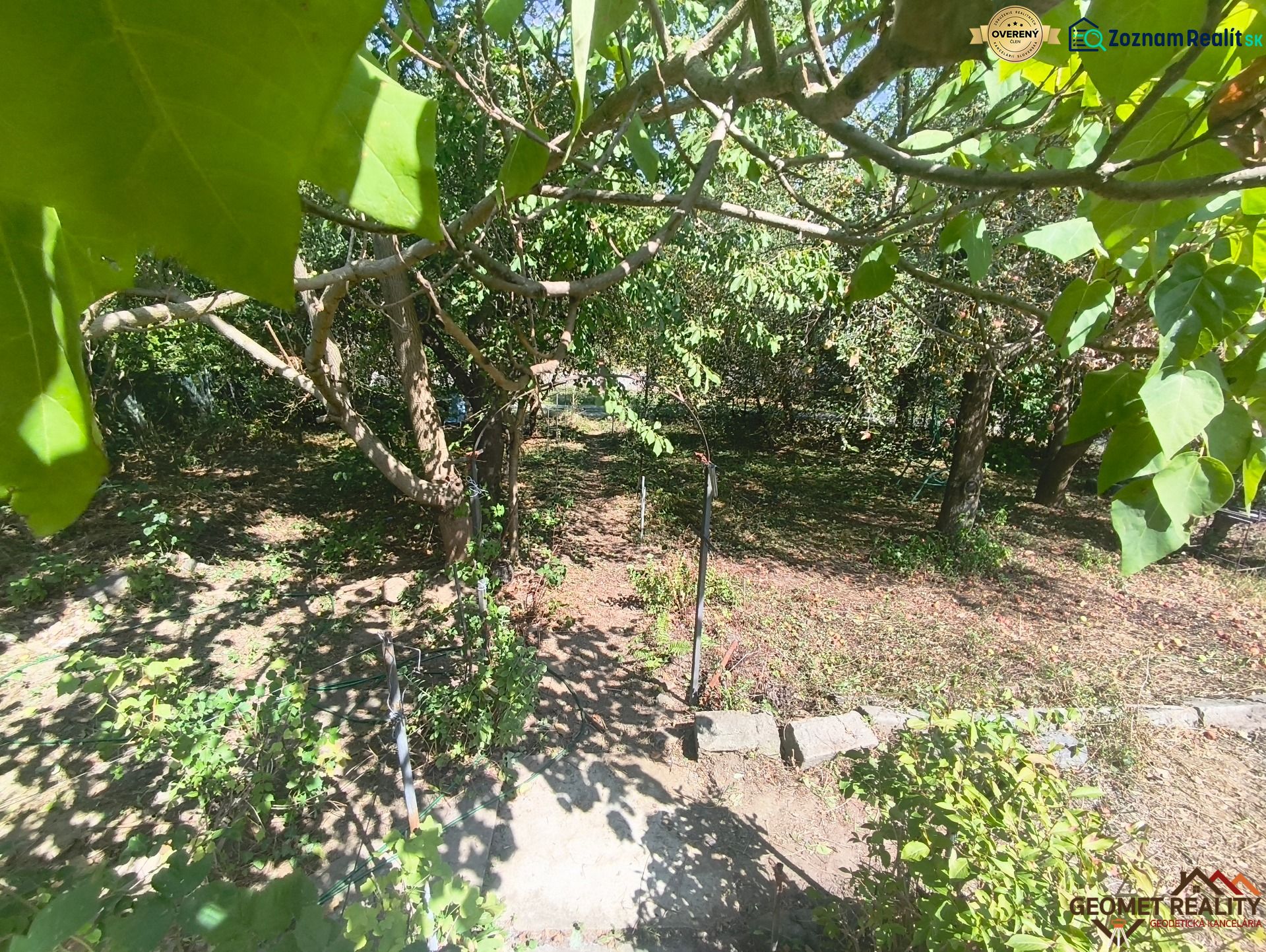 Fotografia 4