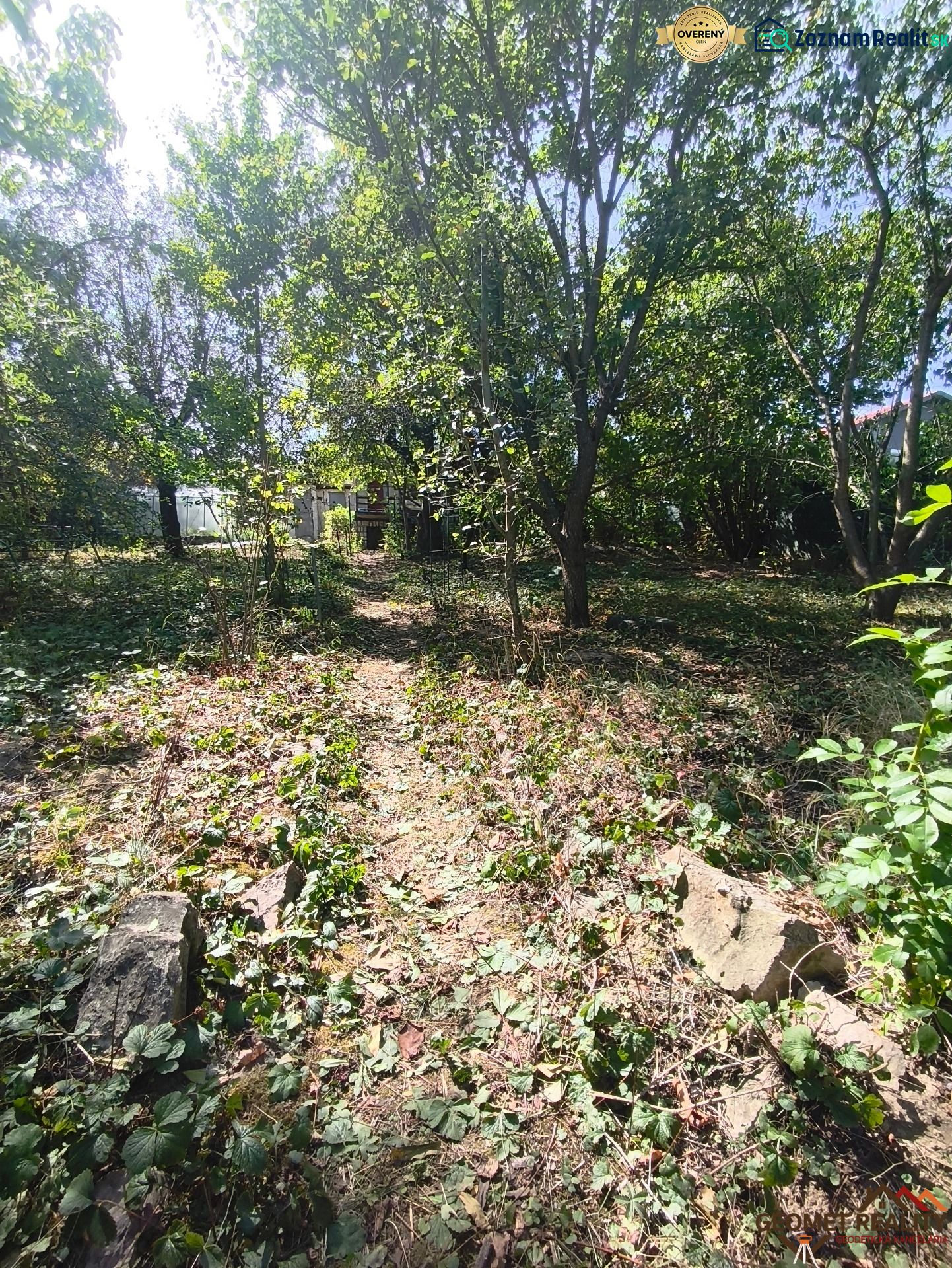 Oáza pokoja a vlastná úroda: Murovaná chatka (17 m²) so záhradou 690 m - Zeleň v záhradách Lučenca s lesnou cestou a vysokými stromami.