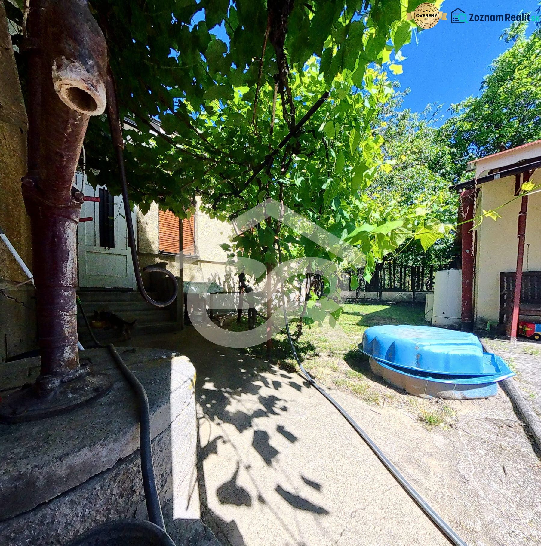 Fotografia 6